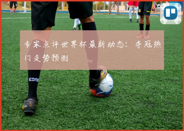 专家点评世界杯最新动态:夺冠热门走势预测