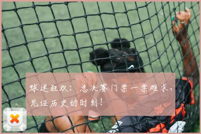 球迷狂欢:总决赛门票一票难求,见证历史的时刻!
